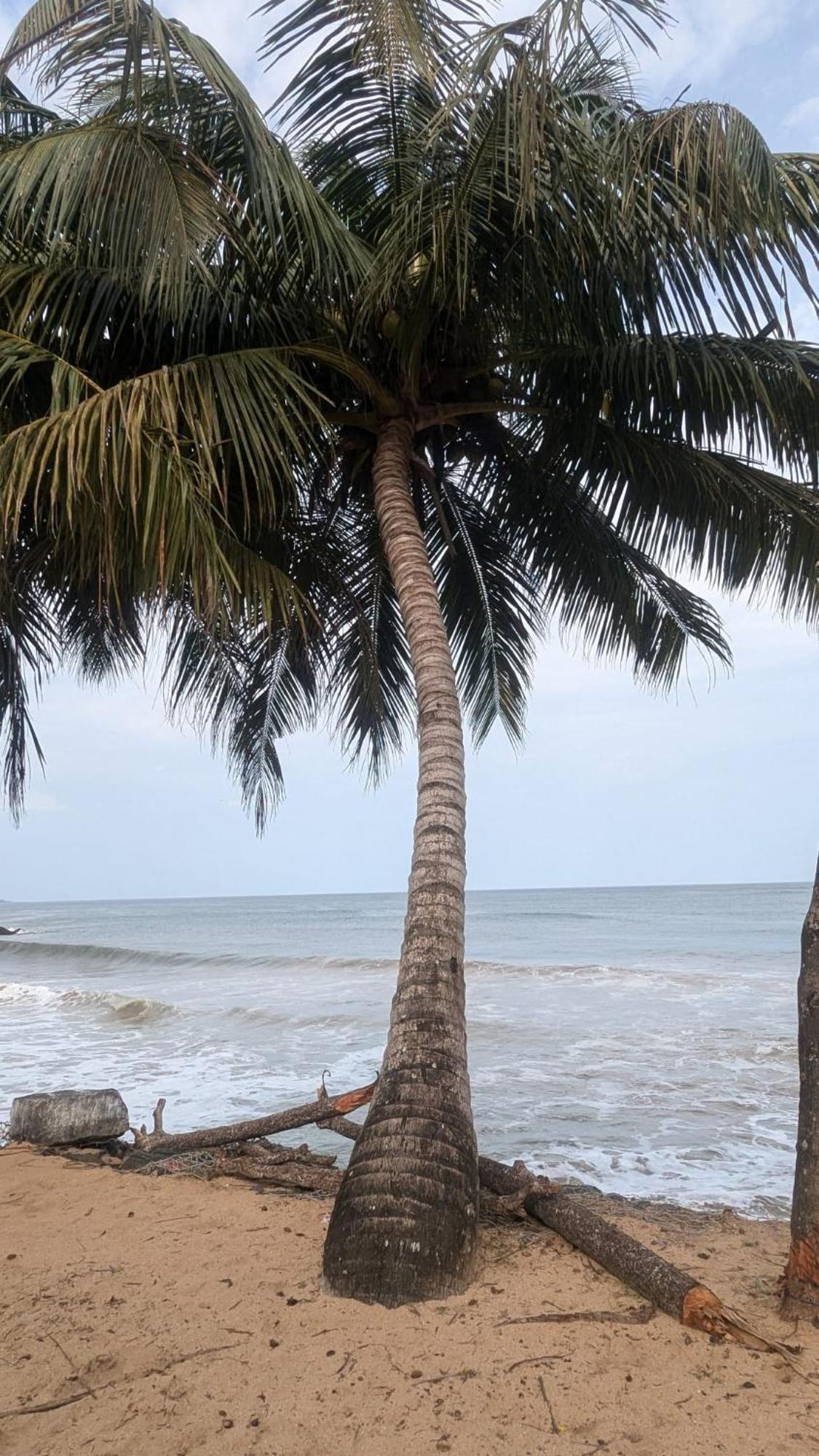Chandi Gaya Beach Guesthouse Tangalle Exteriör bild